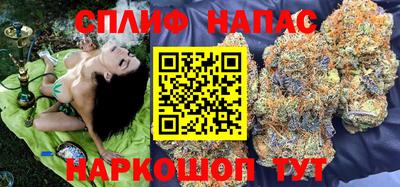 Альфа ПВП Славгород