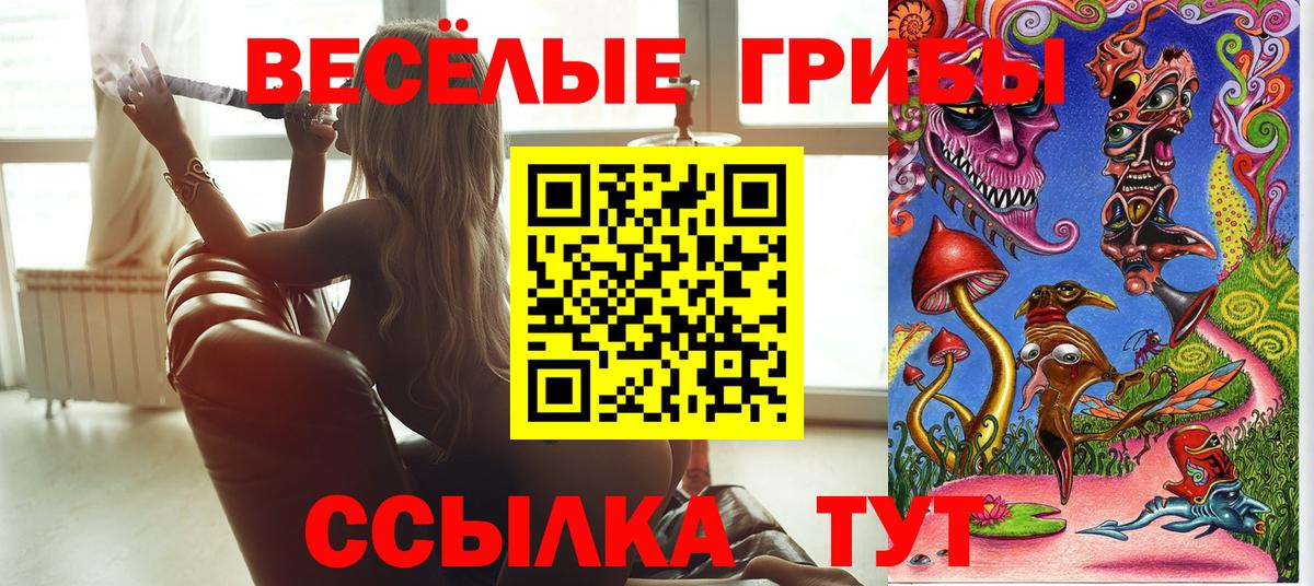 Галлюциногенные грибы мицелий  купить закладку  Вход с VPN  Сердобск  Псилоцибиновые грибы Cubensis 